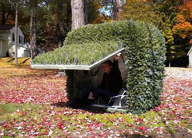 Прикольные картинки (67 фото)