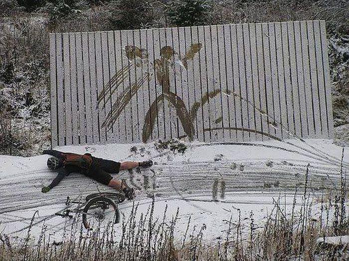 Прикольные картинки