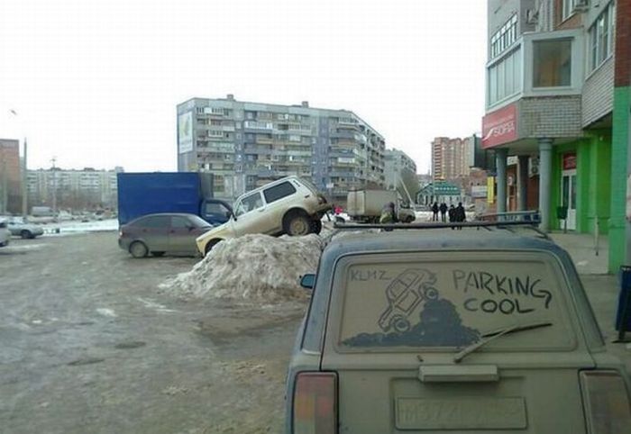 Прикольные картинки