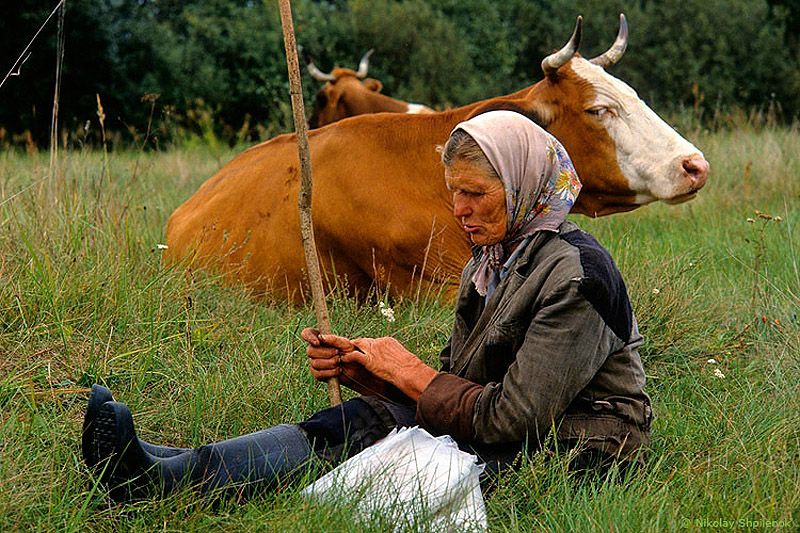 В затерянном мире В затерянном мире
