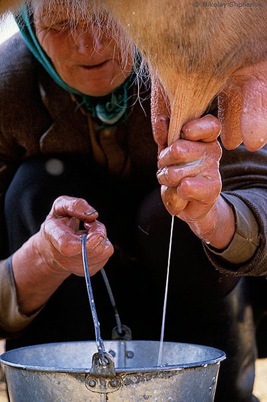 В затерянном мире В затерянном мире