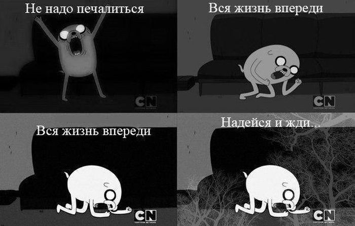 Прикольные картинки (64 фото)