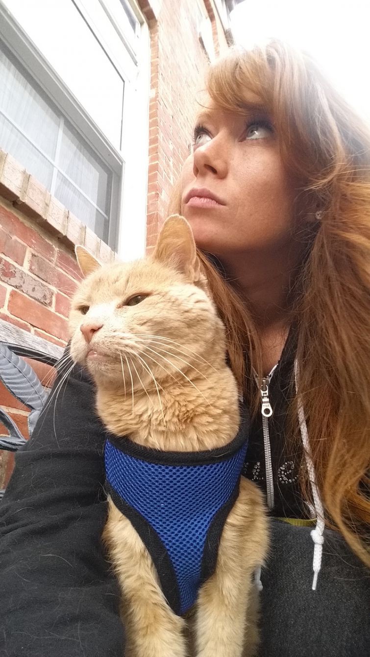 Женщина забрала из приюта безнадежного старого кота, чтобы скрасить последние месяцы его жизни Женщина забрала из приюта безнадежного старого кота, чтобы скрасить последние месяцы его жизни