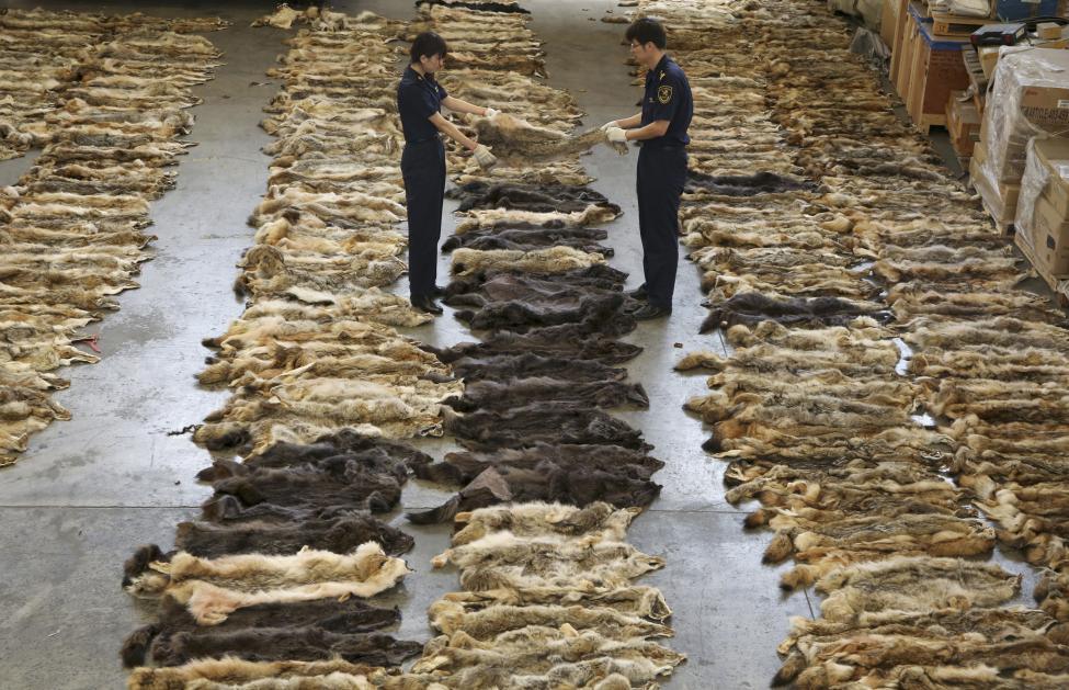 Производство меха в Китае Производство меха в Китае