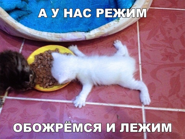 Простой юмор без смысловой нагрузки