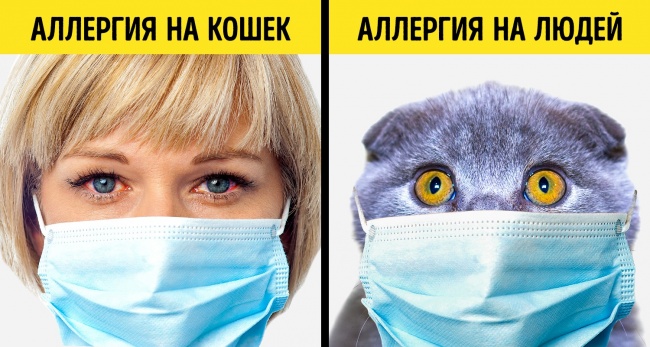 21 факт о нашем мире для тех, кто уже давно ничему не удивляется