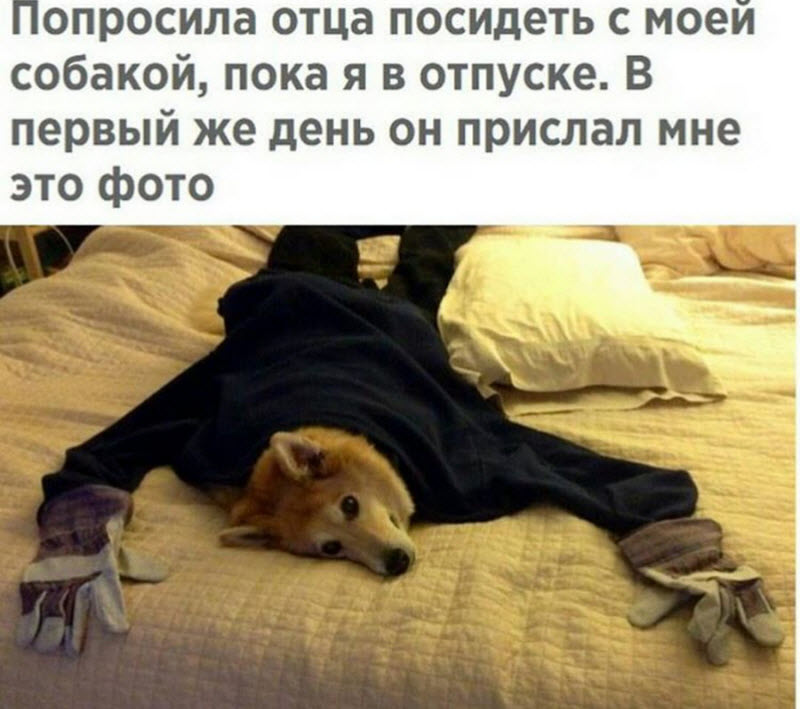 Подборка интересных и веселых картинок