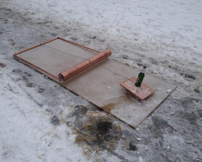 Прикольные картинки