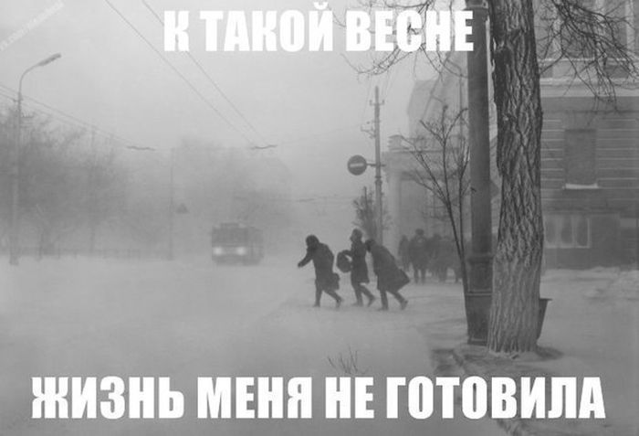 Март, уходи! (53 картинки)