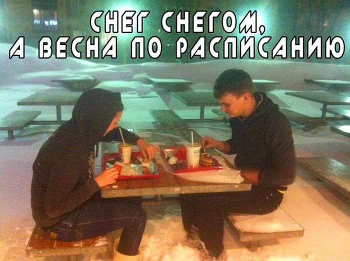 Март, уходи! (53 картинки)
