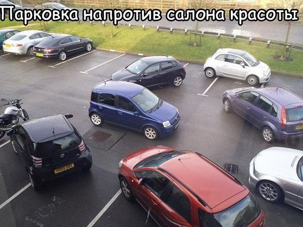 Прикольные картинки (80 фото)