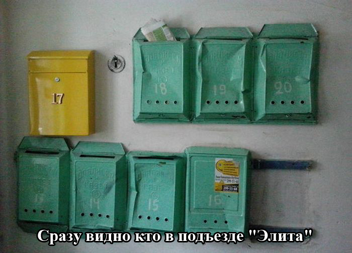 Порция картинок
