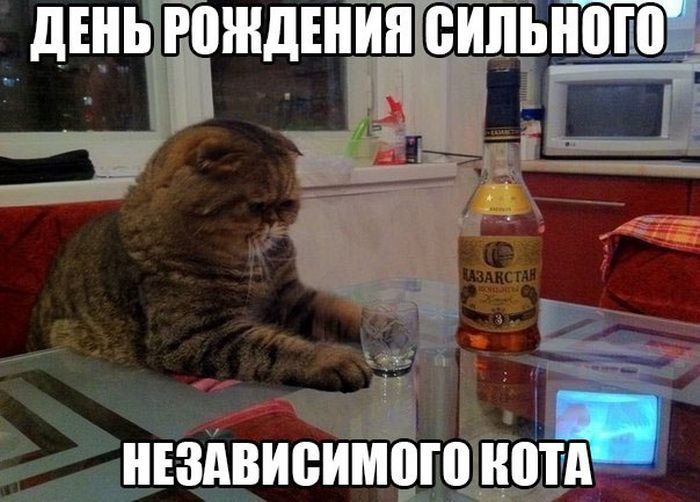 Порция картинок
