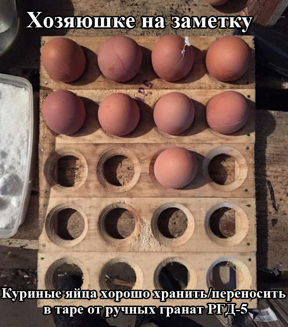 Порция картинок