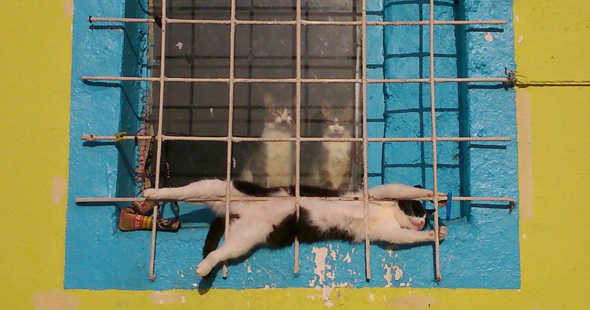 «А всего-то не нужно было туда лезть!» или несколько ужасных историй о людях, умерших из-за того, что они застряли в том или ином месте «А всего-то не нужно было туда лезть!» или несколько ужасных историй о людях, умерших из-за того, что они застряли в том или ином месте