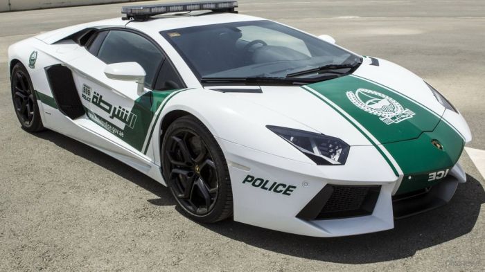 Lamborghini для патрулирования Дубая (5 фото) Lamborghini для патрулирования Дубая (5 фото)