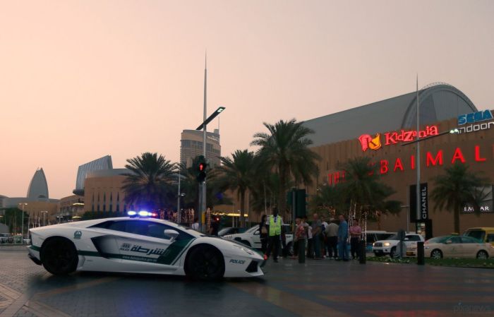 Lamborghini для патрулирования Дубая (5 фото) Lamborghini для патрулирования Дубая (5 фото)