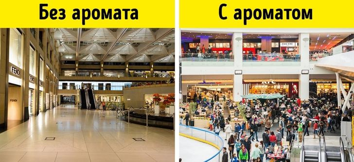 10 уловок маркетологов, которые заставляют нас покупать ненужные вещи 10 уловок маркетологов, которые заставляют нас покупать ненужные вещи