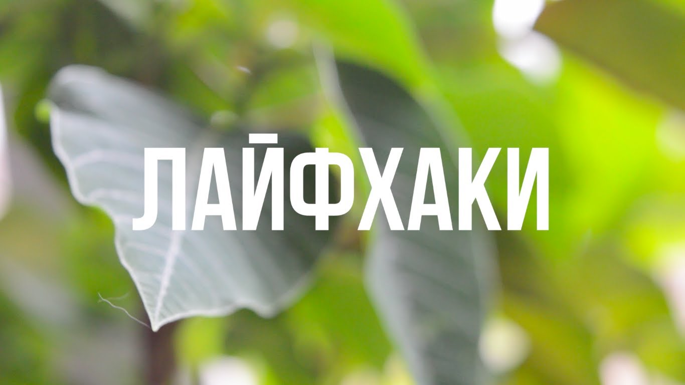 Полезные и клевые лайфхаки, которые пригодятся вам в повседневной жизни Полезные и клевые лайфхаки, которые пригодятся вам в повседневной жизни