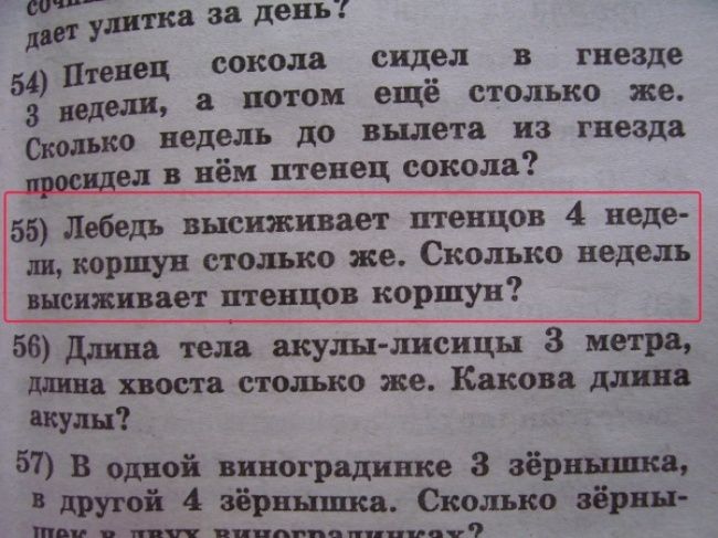 Идиотские учебники (25 фото) Идиотские учебники (25 фото)