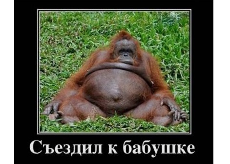 Уловки ресторанов, чтобы клиент тратил больше Уловки ресторанов, чтобы клиент тратил больше