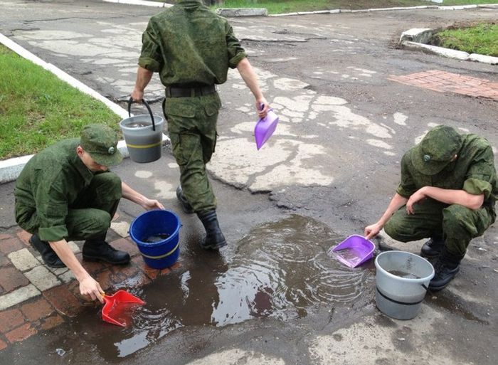 Прикольные картинки