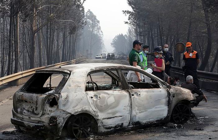 В Португалии бушуют лесные пожары