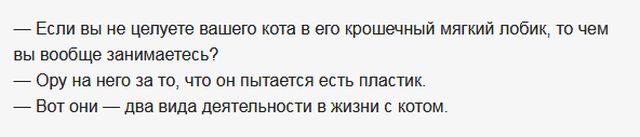 Удивительные диалоги с просторов сети