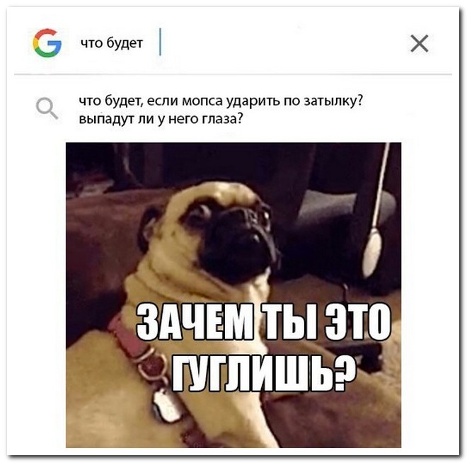 Забавные комментарии из социальных сетей
