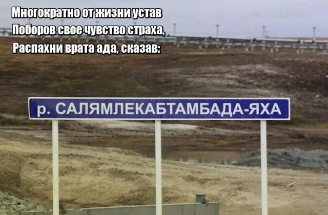Прикольные картинки