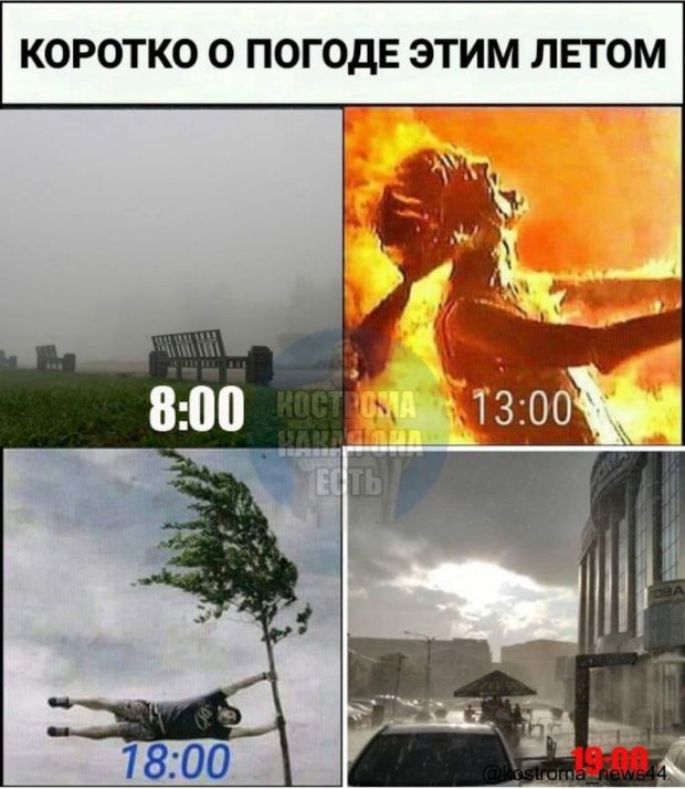 Прикольные картинки