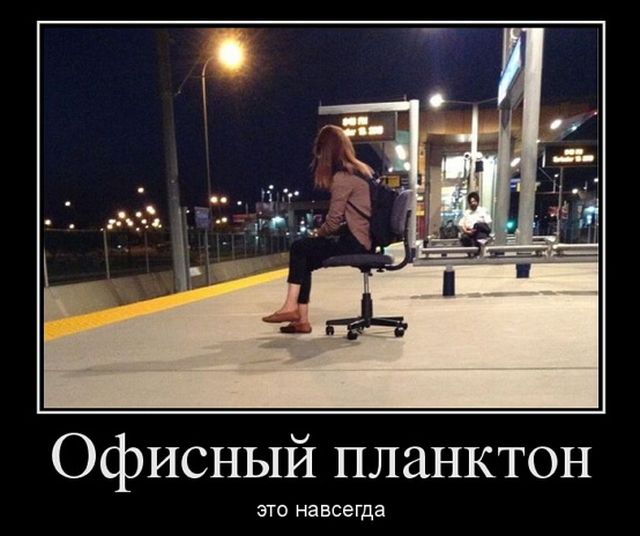 Демотиваторы