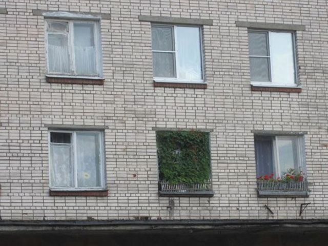Странности с просторов нашей бескрайней