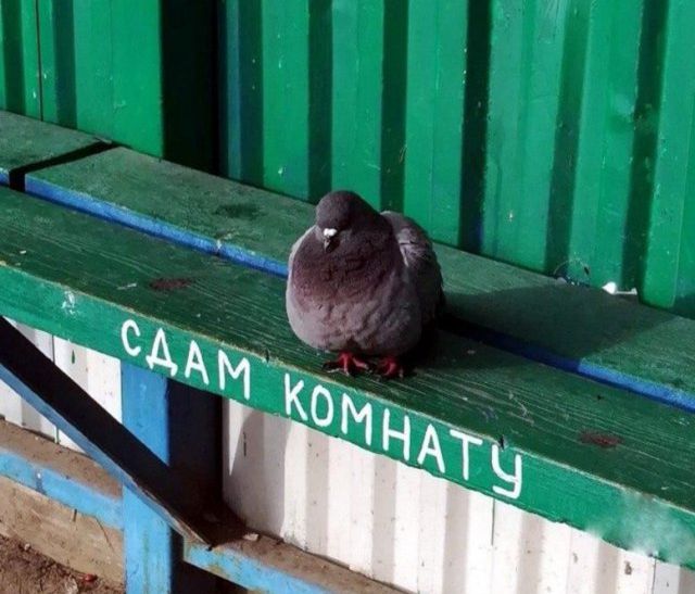 Странности с просторов нашей бескрайней