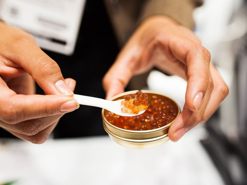 Продукты и блюда, которые редко встречаются в меню авиакомпаний Продукты и блюда, которые редко встречаются в меню авиакомпаний