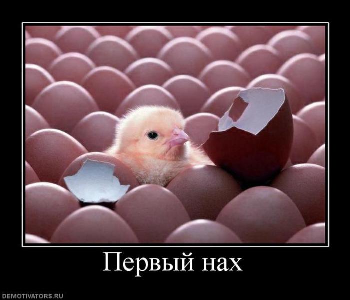 Демотиваторы (60 фото)