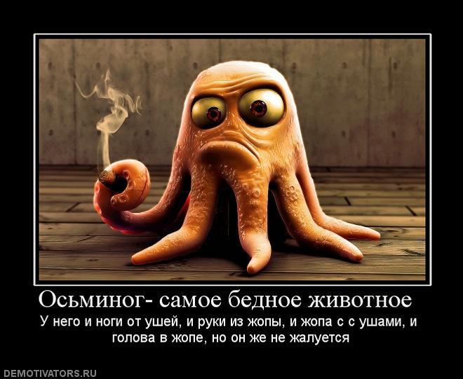 Демотиваторы (60 фото)