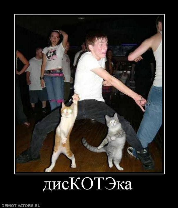 Демотиваторы (60 фото)