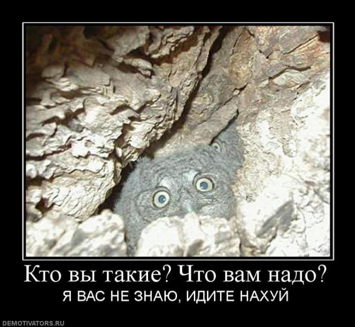 Демотиваторы (60 фото)