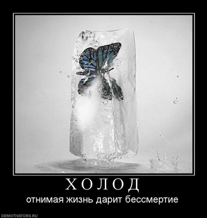 Демотиваторы (60 фото)