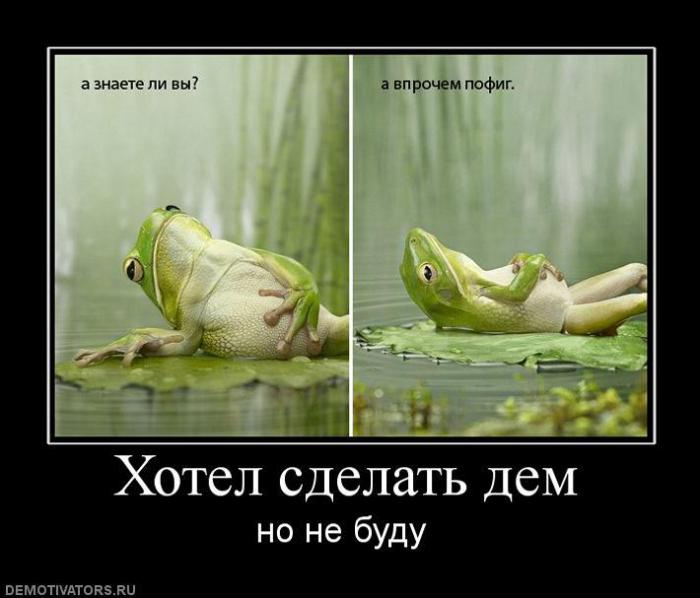 Демотиваторы (60 фото)