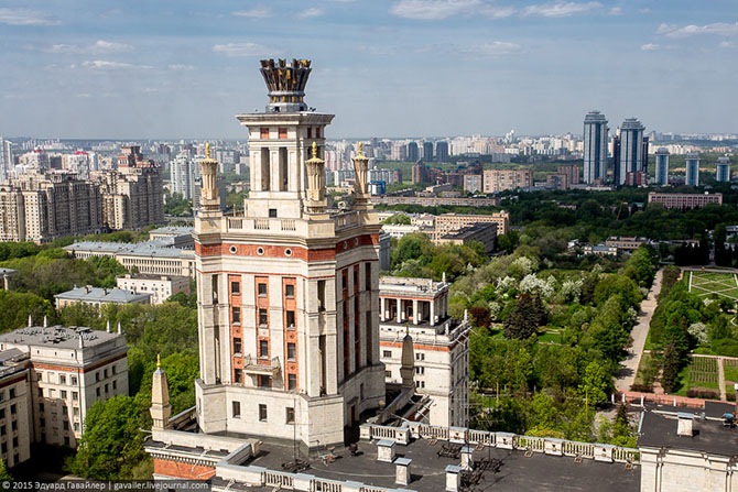 МГУ – лучший университет страны? МГУ – лучший университет страны?