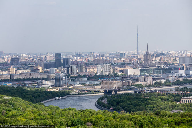 МГУ – лучший университет страны? МГУ – лучший университет страны?