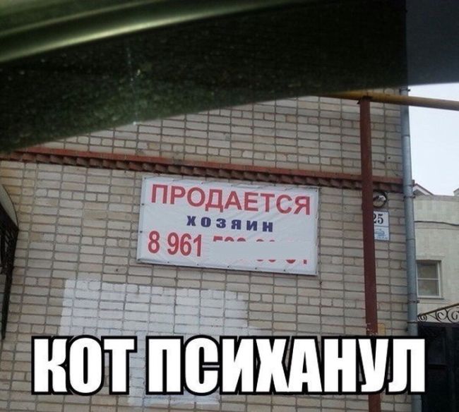 Порция картинок