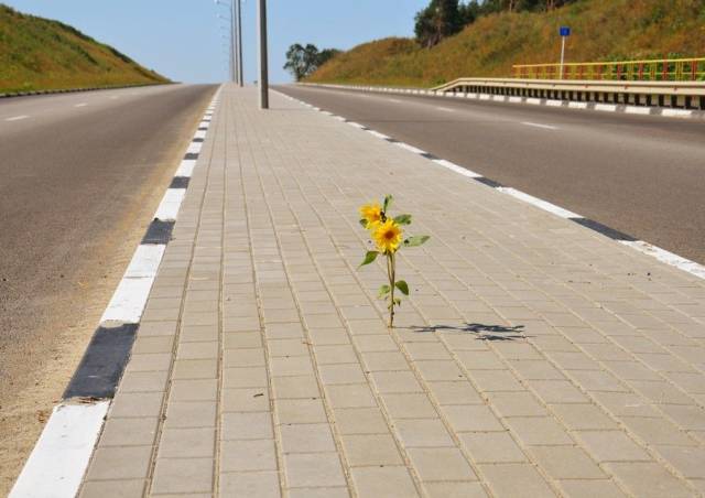 Фотографии вместо тысячи слов