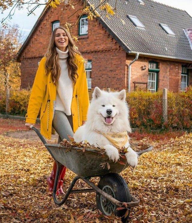 Фотографии вместо тысячи слов