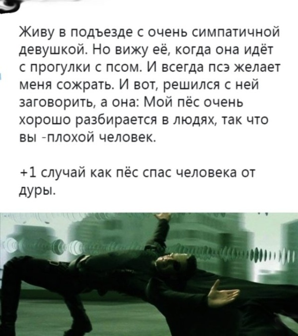 Комментарии и юмор из социальных сетей