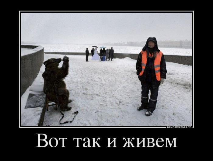Демотиваторы