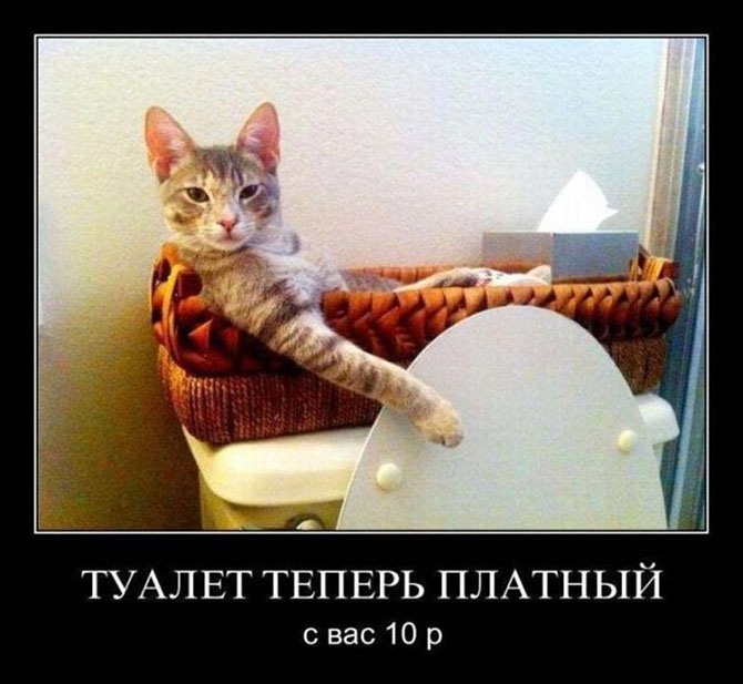 Что в настоящее время можно купить за 1 доллар в разных странах мира Что в настоящее время можно купить за 1 доллар в разных странах мира