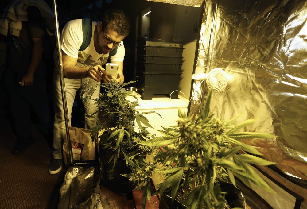 Первая “Expo Cannabis” ярмарка в Уругвае